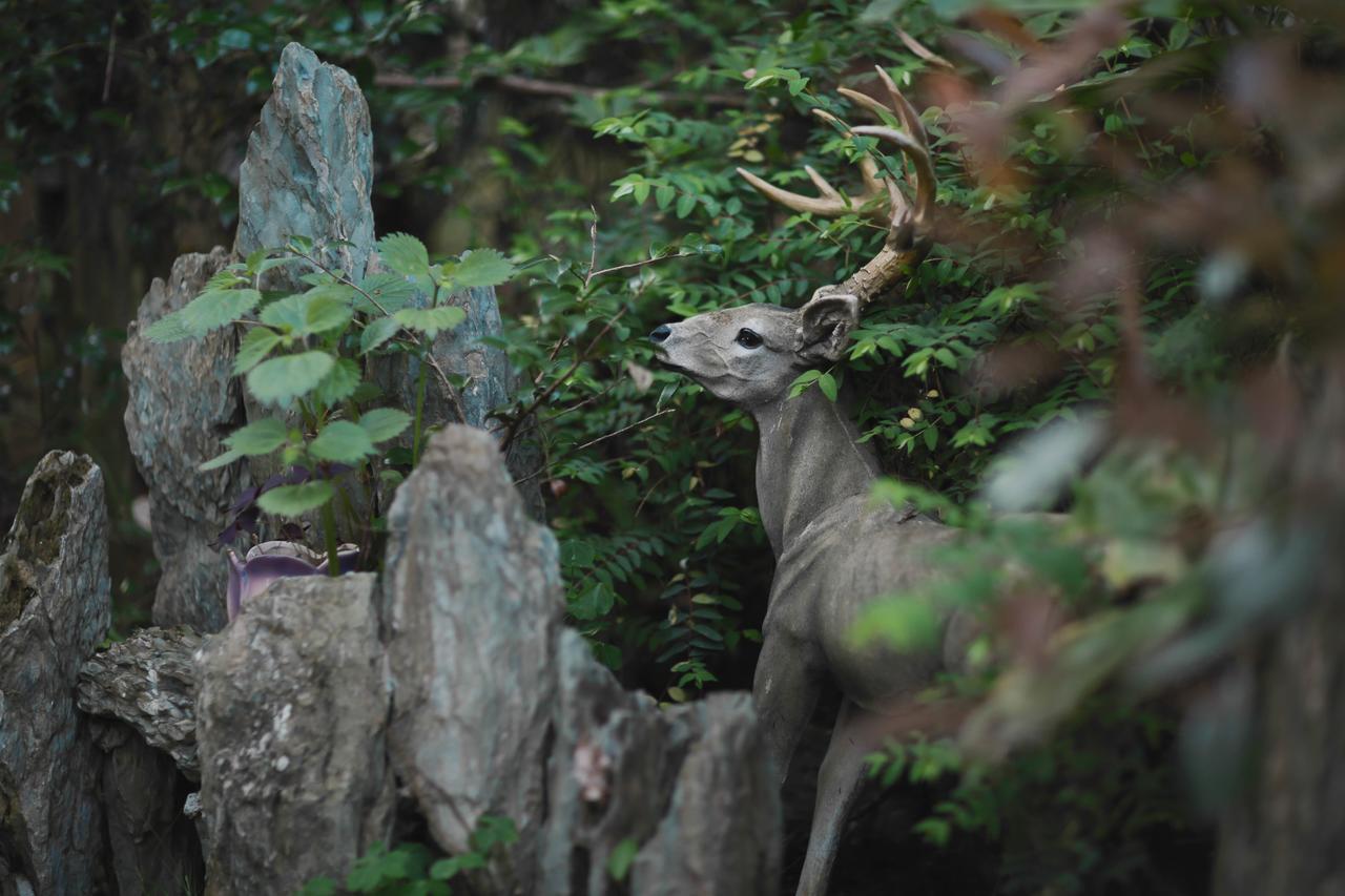 Wuyi Mountain Ancient Street Forest Living England Time Inn Wuyishan  Εξωτερικό φωτογραφία