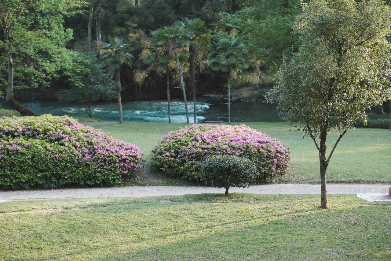 Wuyi Mountain Ancient Street Forest Living England Time Inn Wuyishan  Εξωτερικό φωτογραφία